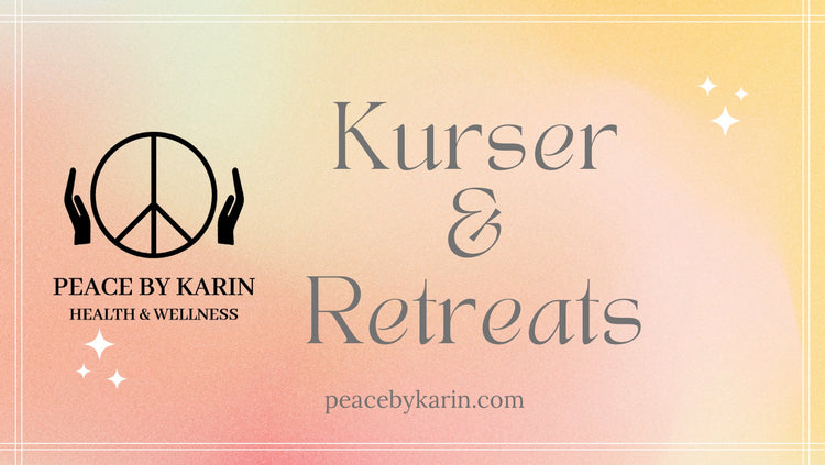 Meditation, Kurser & Retreats