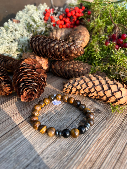 Tigeröga, Shungit, svart Agat armband