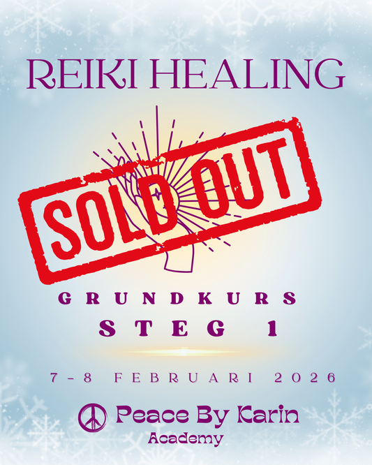 REIKI Healing Grundkurs-Steg I ❄️ 7-8 februari 2026