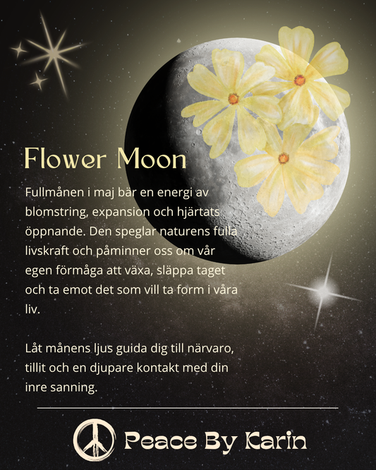 Fullmånemeditation & Reiki Healing med Karin Roiseux 🌼 1 maj 2026