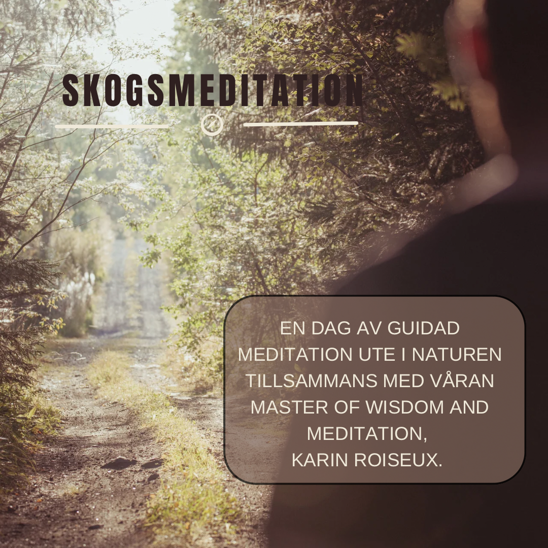 Skogsmeditation med Karin Roiseux