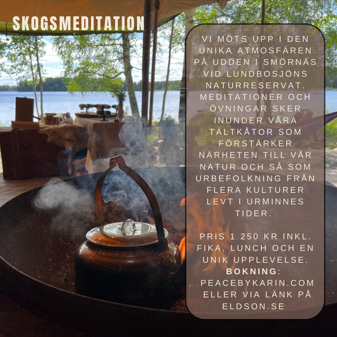 Skogsmeditation med Karin Roiseux
