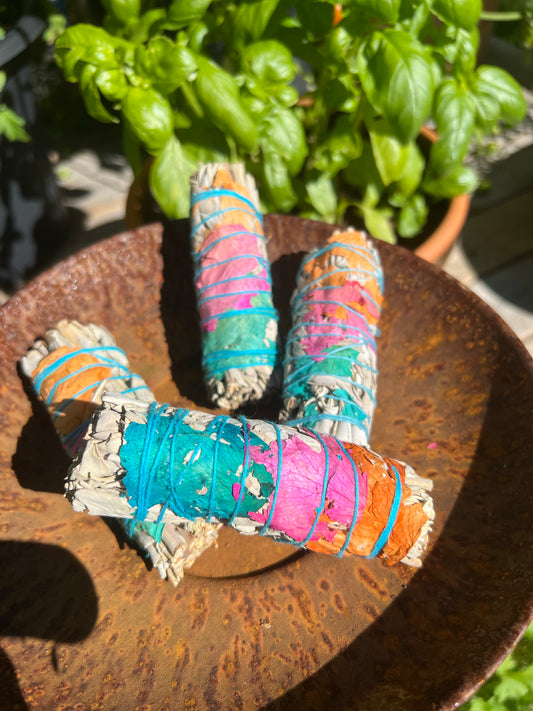 Vit Salvia Boho, 10-12 cm, ca 25 g