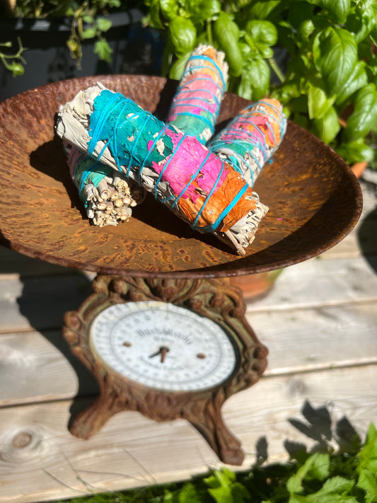 Vit Salvia Boho, 10-12 cm, ca 25 g