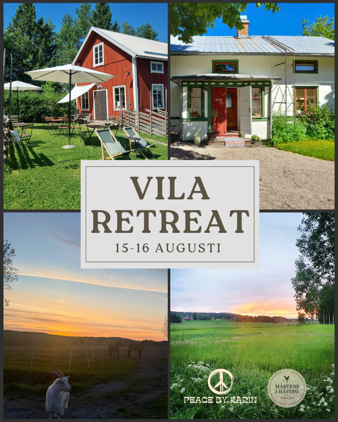 VILA Retreat 🌞 15-16 augusti 2026