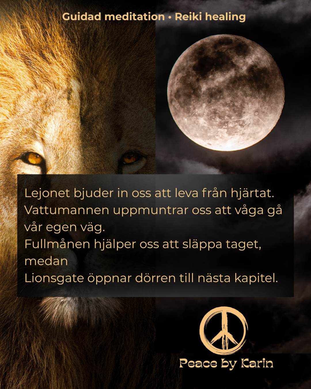 Lionsgate Portal & Fullmånemeditation - online