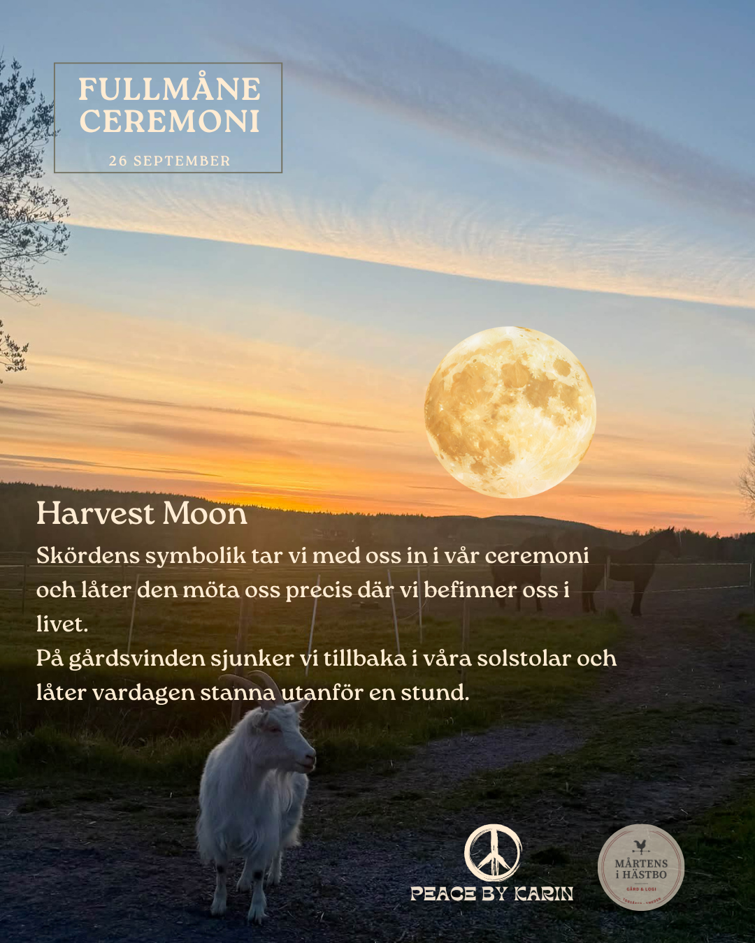 Fullmåneceremoni 26 september - Hästbo Torsåker