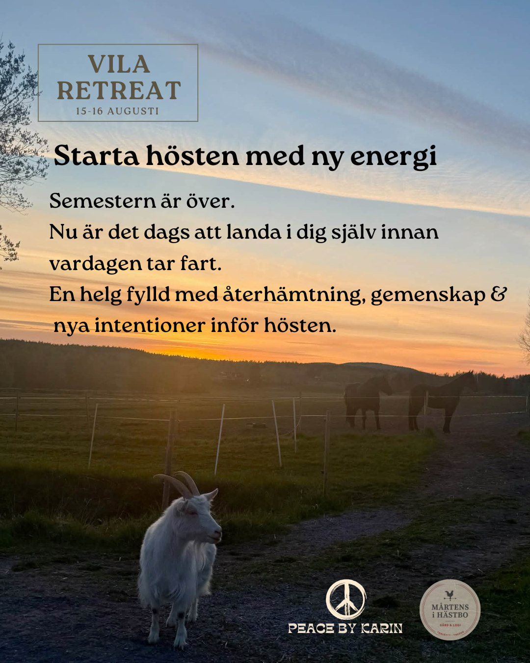 VILA Retreat 🌞 15-16 augusti 2026