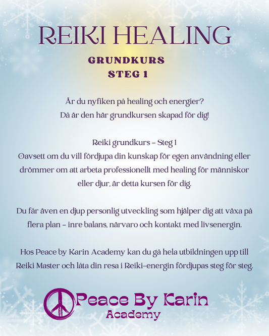 REIKI Healing Grundkurs-Steg I ❄️ 7-8 februari 2026