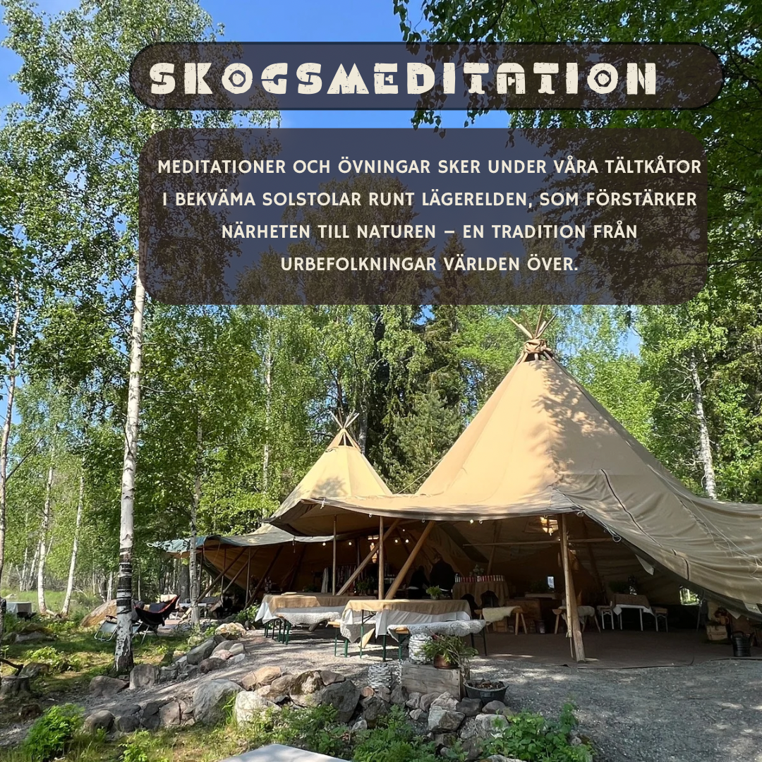 SKOGSMEDITATION med Karin Roiseux - Augusti 2024- 🎈FULLBOKAD !